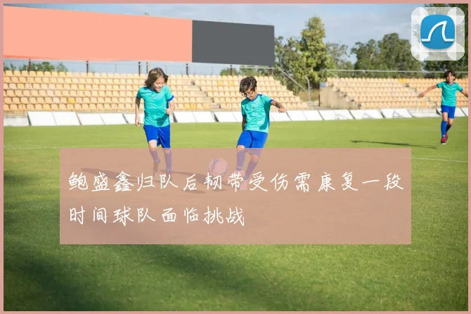 鲍盛鑫归队后韧带受伤需康复一段时间球队面临挑战